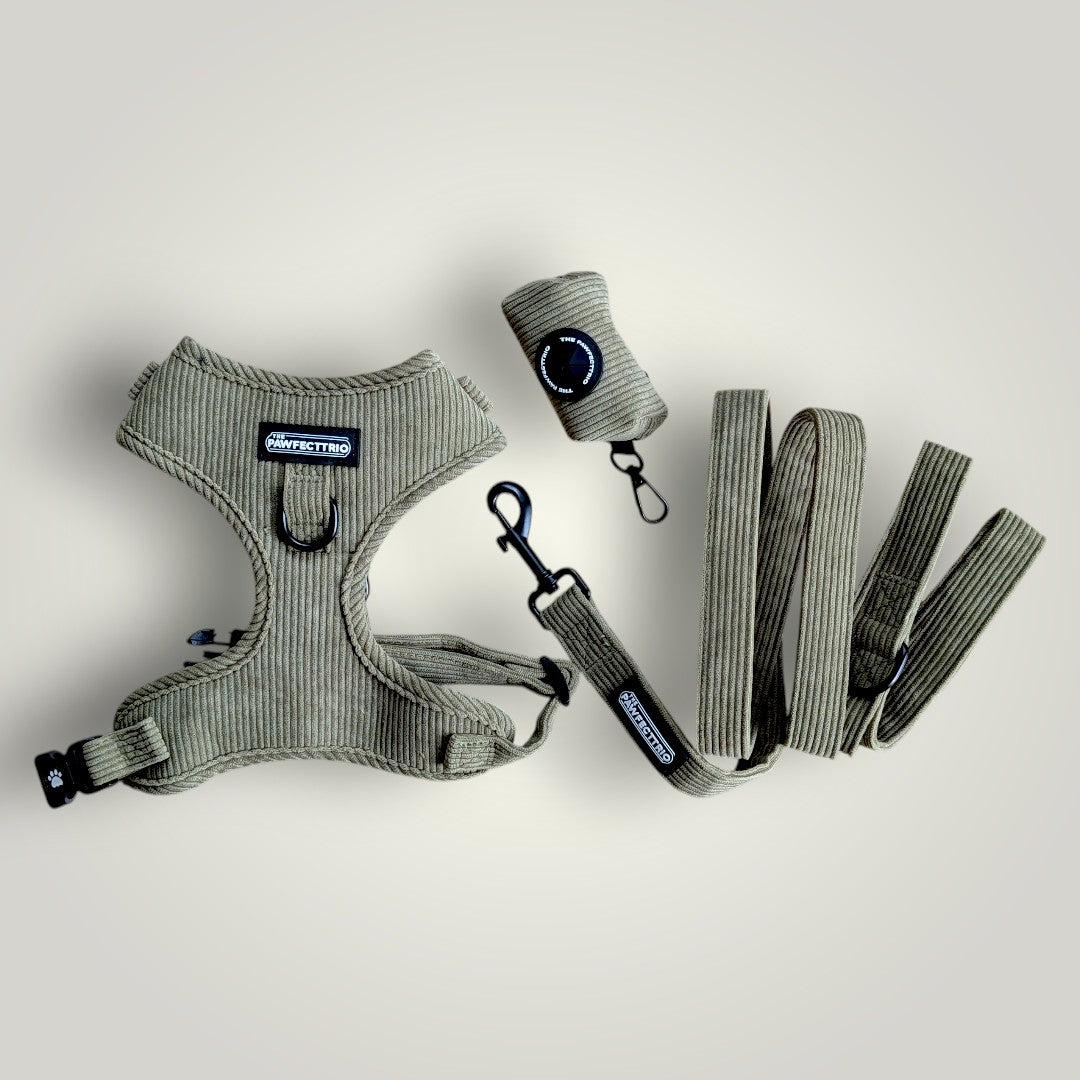 The Pawfect Trio Everyday Walk Set for dogs, including leash, collar, and harness in a coordinated bundle.