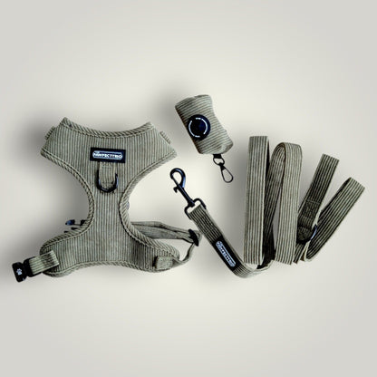 The Pawfect Trio Everyday Walk Set for dogs, including leash, collar, and harness in a coordinated bundle.