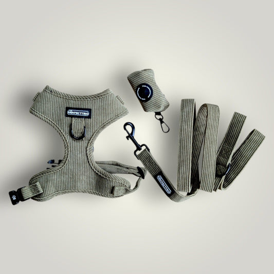 The Pawfect Trio Everyday Walk Set for dogs, including leash, collar, and harness in a coordinated bundle.