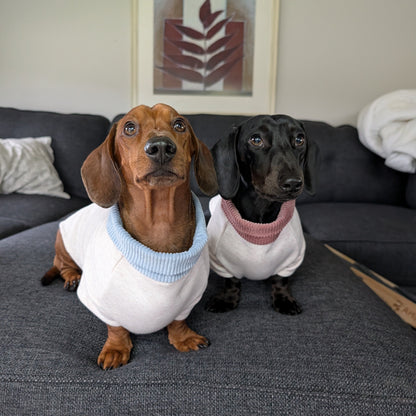 Long Dog Sweater
