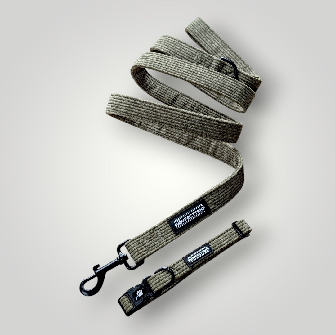 The Pawfect Trio The Walk Duo pet accessories featuring a stylish leash and harness set for dogs.