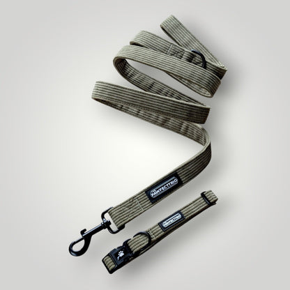 The Pawfect Trio The Walk Duo pet accessories featuring a stylish leash and harness set for dogs.