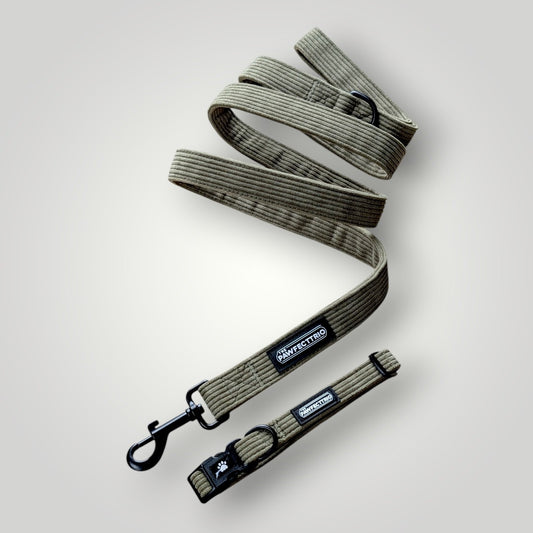 The Pawfect Trio The Walk Duo pet accessories featuring a stylish leash and harness set for dogs.
