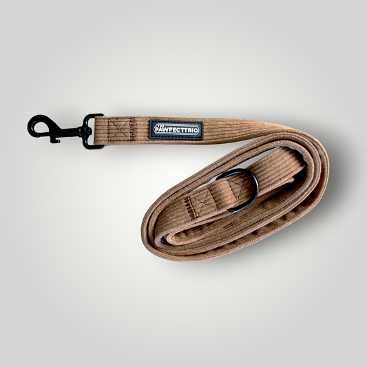Corduroy Dog Leash - The Pawfect Trio