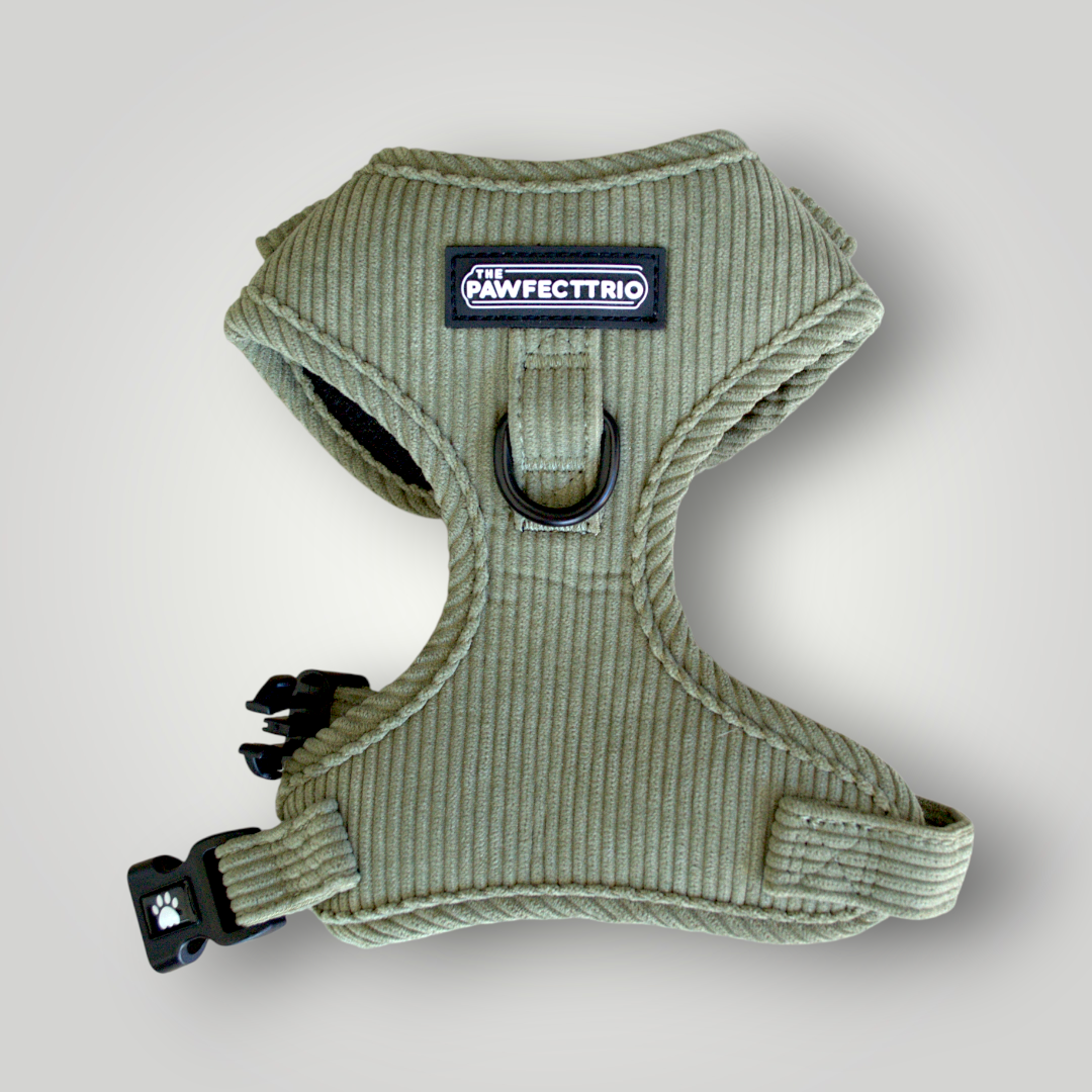 Corduroy Dog Harness - The Pawfect Trio