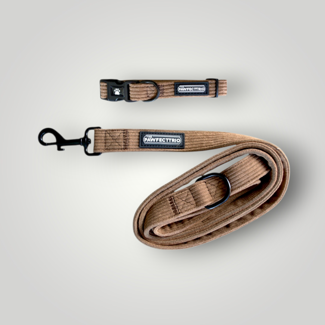 Pawfect Duo Bundle -  The Pawfect Trio