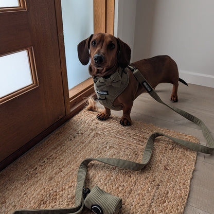 Brown corduroy dog leash from The Pawfect Trio pet accessories, featuring a comfortable handle and durable hardware.