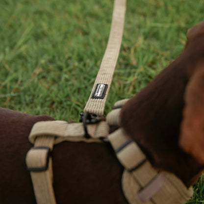 Corduroy dog leash from The Pawfect Trio pet accessories collection, featuring a soft, textured fabric leash for dogs.