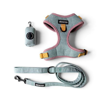 Everyday Walk Set