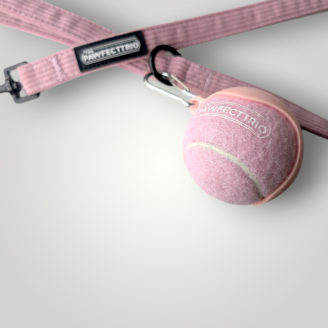 The Pawfect Trio tennis ball holder pet toy in bright yellow with a built-in compartment for storing tennis balls for dogs.