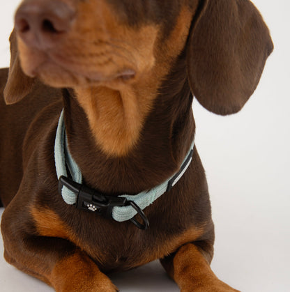 Corduroy dog collar from The Pawfect Trio with soft, textured fabric and adjustable buckle for pet comfort.