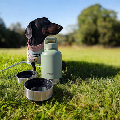 The Pawfect Adventure Bottle pet accessory with a carrying strap and water spout, ideal for outdoor pet hydration.