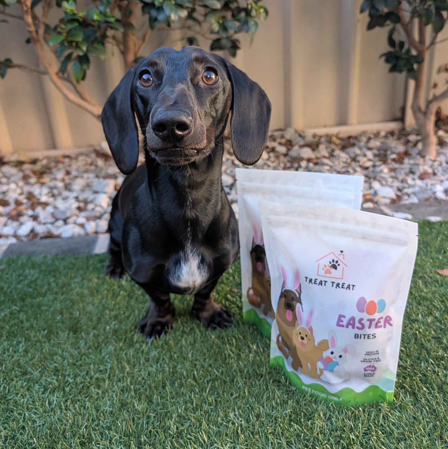 Dog treats labeled Easter Bites from The Pawfect Trio, featuring festive and limited-edition packaging for dogs.
