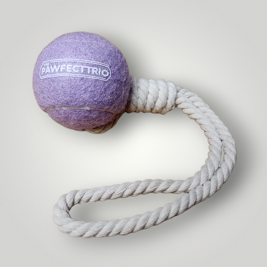 Tennis Ball Rope Toy - The Pawfect Trio