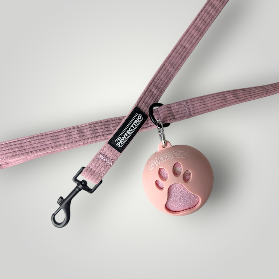 The Pawfect Trio tennis ball holder pet toy, blue and green fabric with a tennis ball inside, designed for dogs to play and carry.