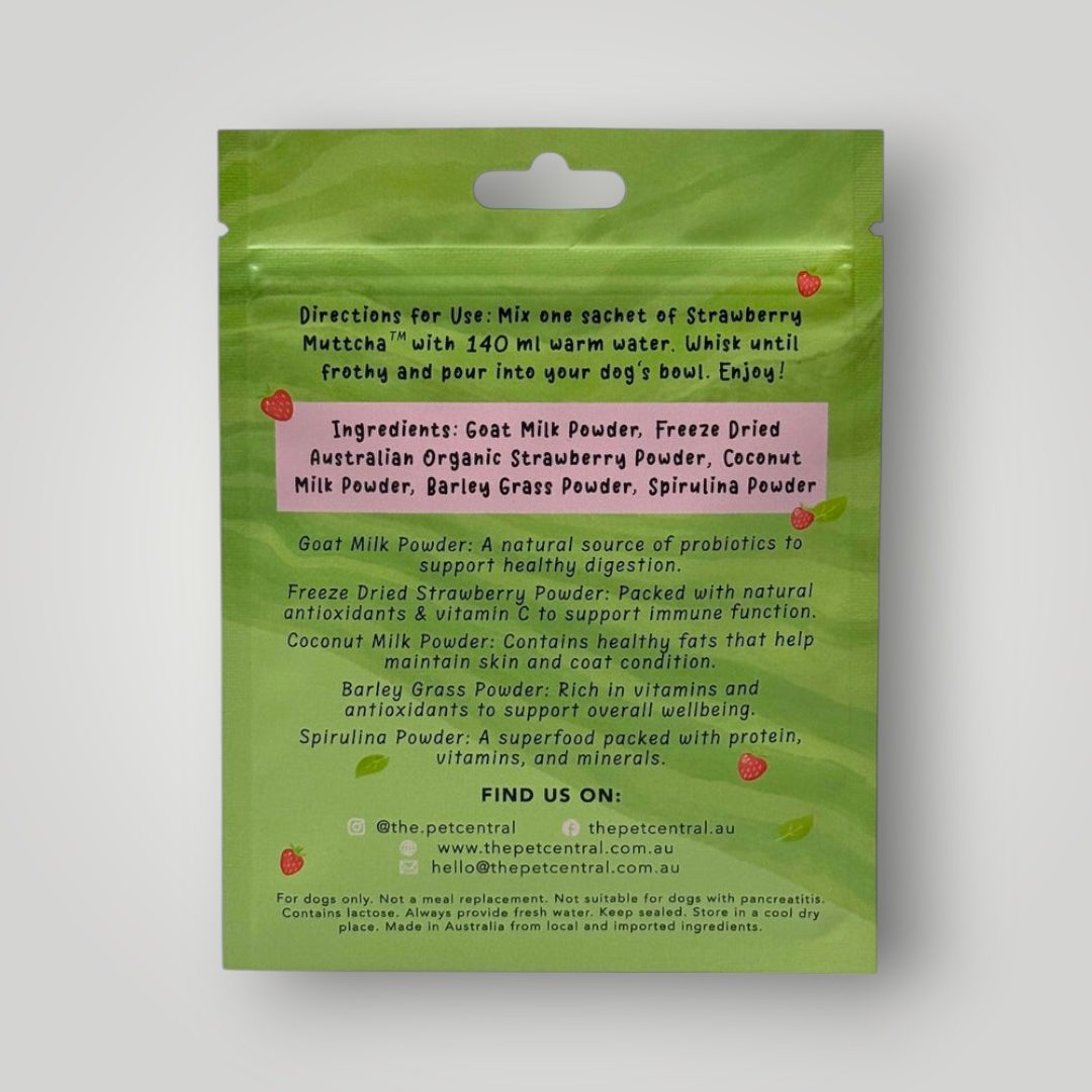 Doggie Strawberry Matcha Latte pet enrichment toy with colorful strawberry and matcha-themed design for dogs.