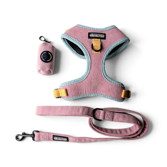 Everyday Walk Set