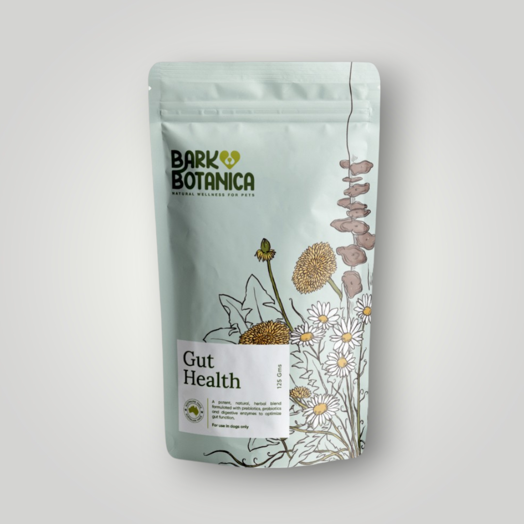Pet wellness supplement by Bark Botanica promoting gut health for dogs, featuring natural ingredients in a colorful package.