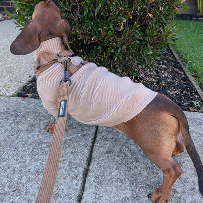 Long Dog Knit