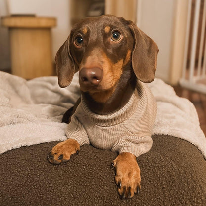 Long Dog Knit