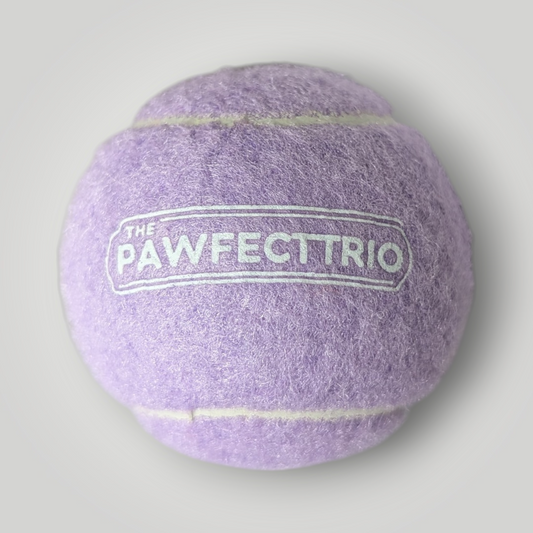 Bright yellow squeaky tennis ball pet toy from The Pawfect Trio, designed for dogs to chew and fetch.