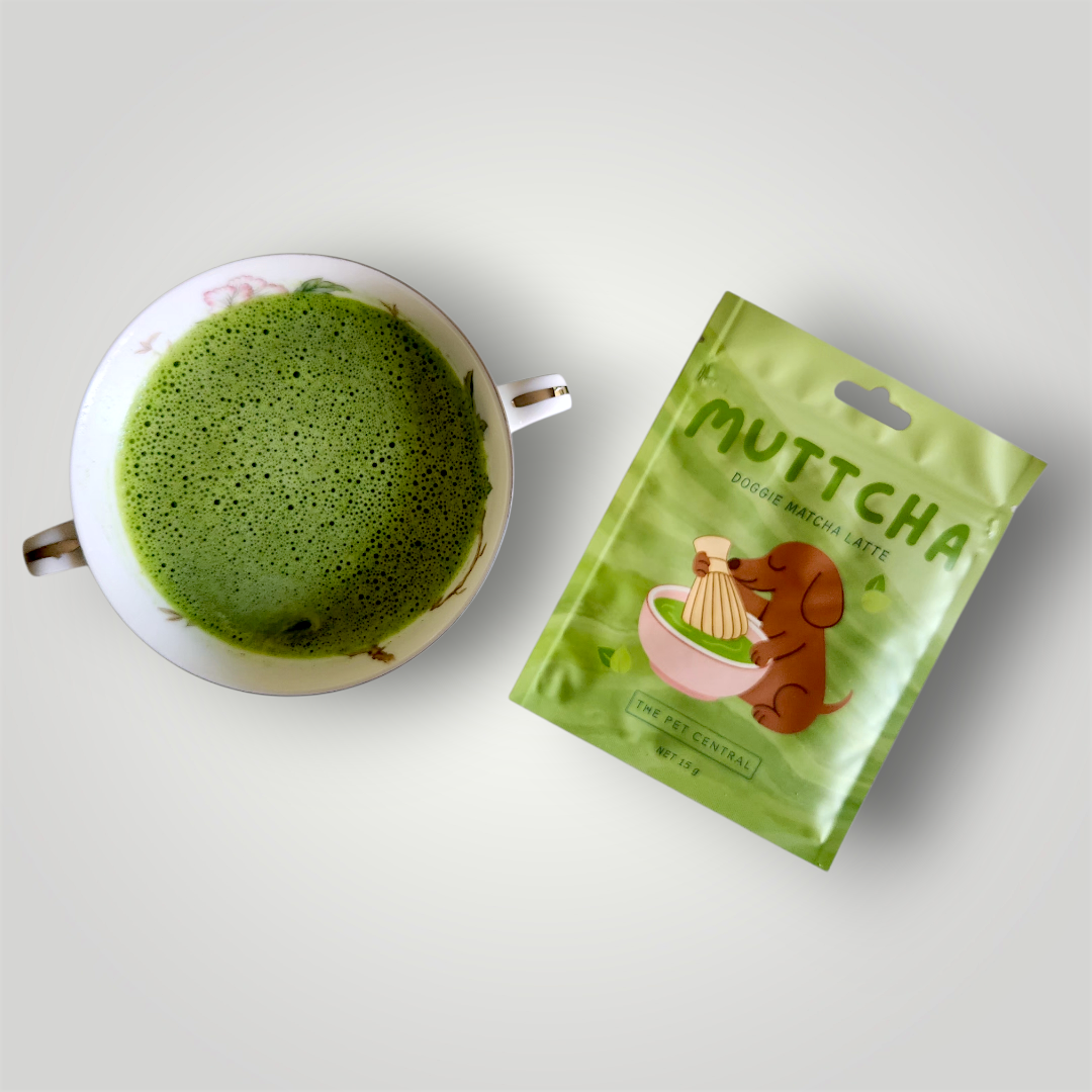 Doggie Matcha Latte pet enrichment toy from The Pet Central, featuring a colorful, soft plush design for engaging play.