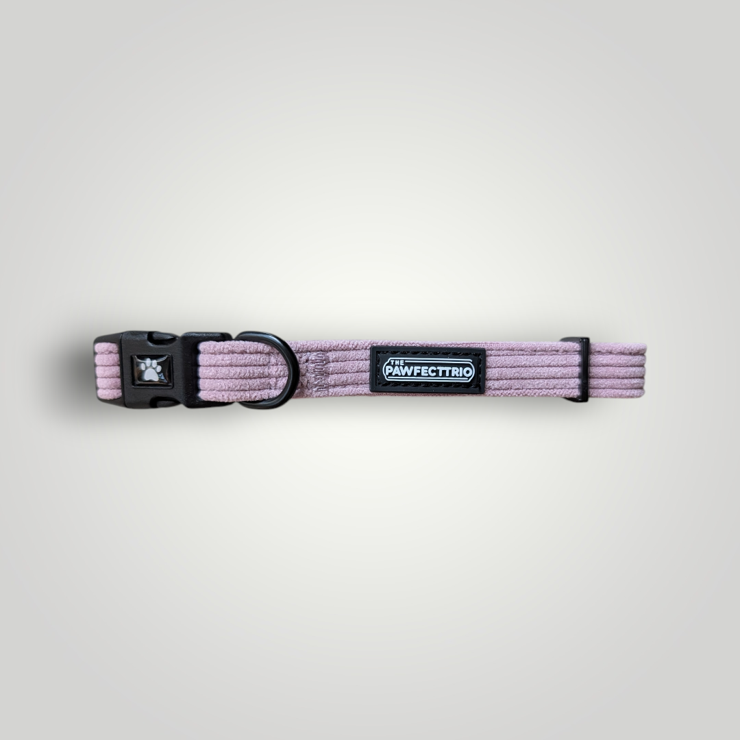Candy-colored corduroy dog collar from The Pawfect Trio with a soft, textured fabric and adjustable buckle for pet comfort.
