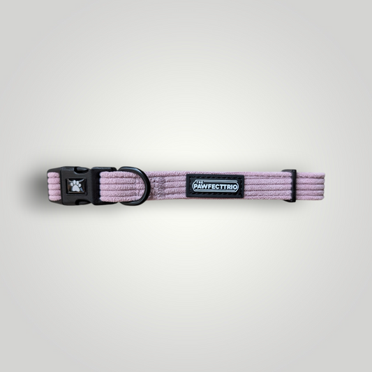 Candy-colored corduroy dog collar from The Pawfect Trio with a soft, textured fabric and adjustable buckle for pet comfort.