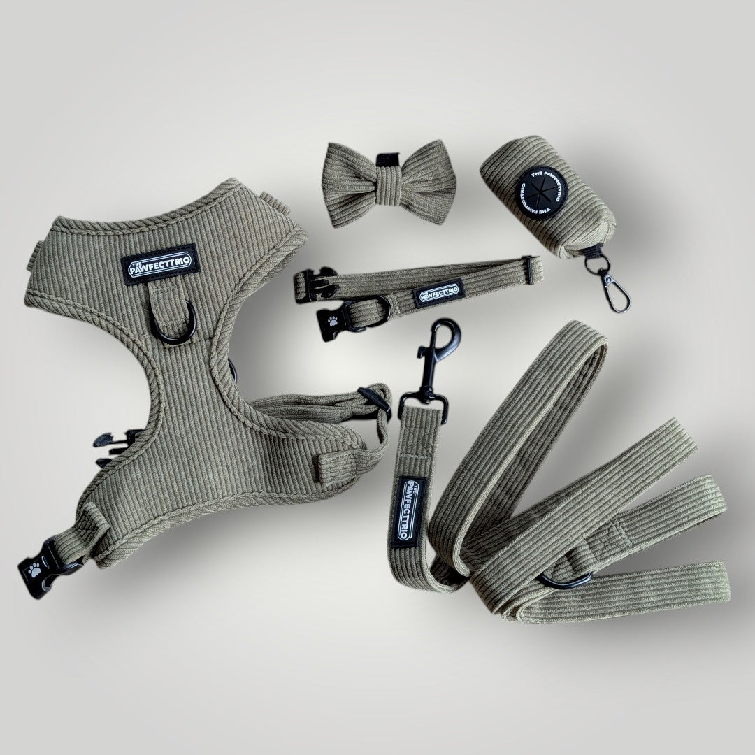 Dog wearing The Pawfect Trio Weekend Walk Set, stylish pet accessories including a collar and leash for outdoor walks.