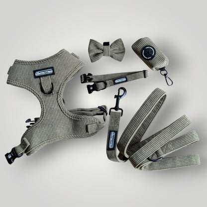 Dog wearing The Pawfect Trio Weekend Walk Set, stylish pet accessories including a collar and leash for outdoor walks.