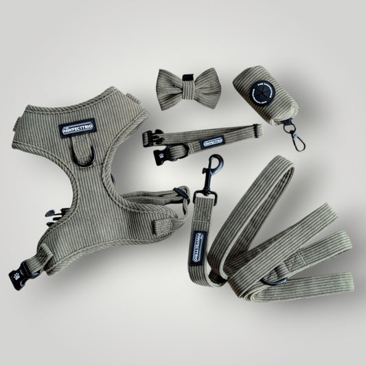 Dog wearing The Pawfect Trio Weekend Walk Set, stylish pet accessories including a collar and leash for outdoor walks.