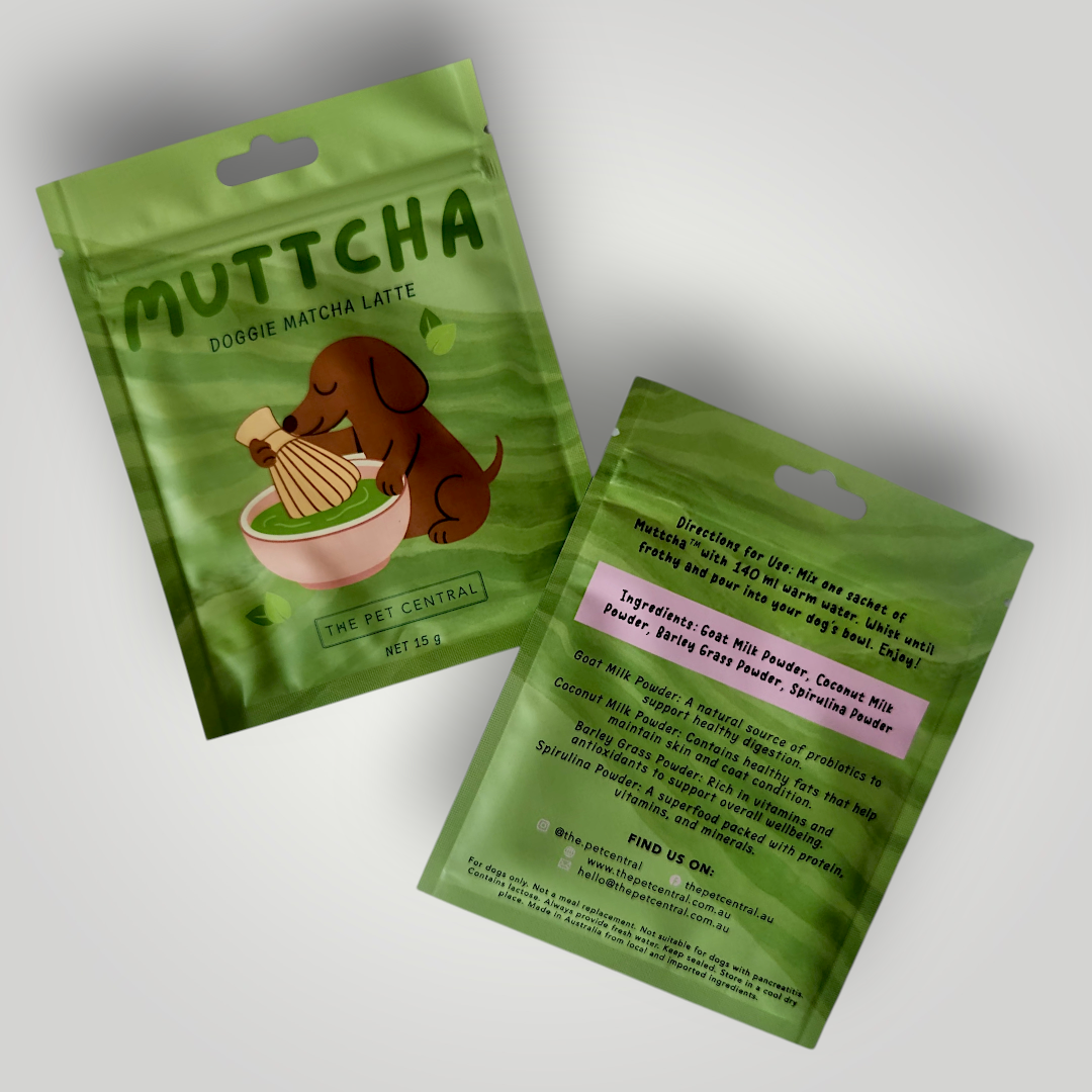 Doggie Matcha Latte pet enrichment toy from The Pet Central, featuring a colorful, soft, and durable dog toy for interactive play.