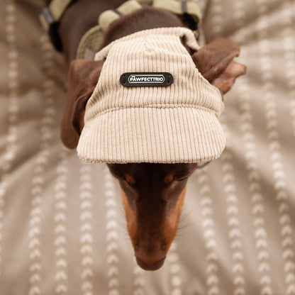 Dog Hat - The Pawfect Trio