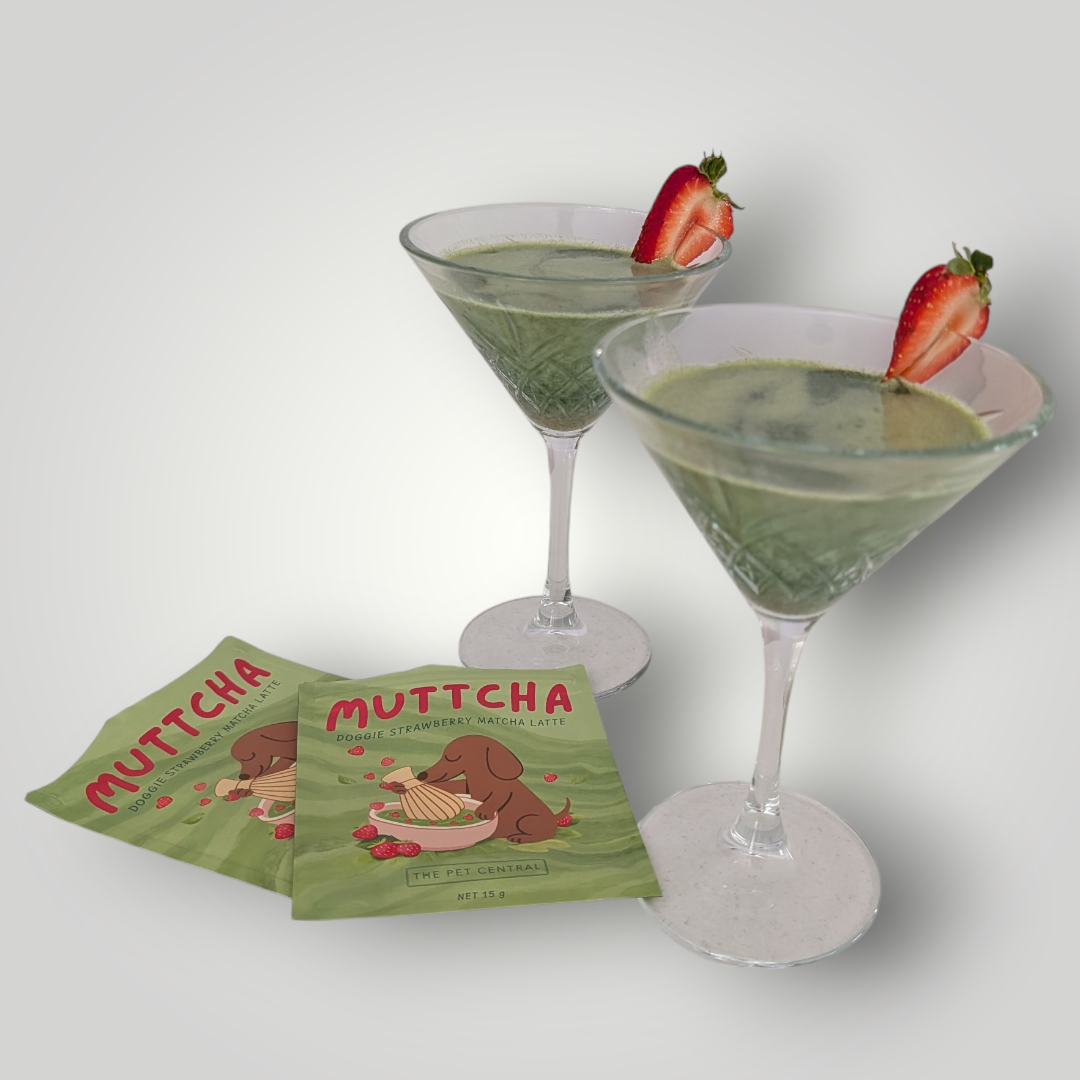 Doggie Strawberry Matcha Latte pet enrichment toy with colorful design and plush texture for dogs.