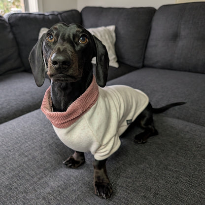 Long Dog Sweater