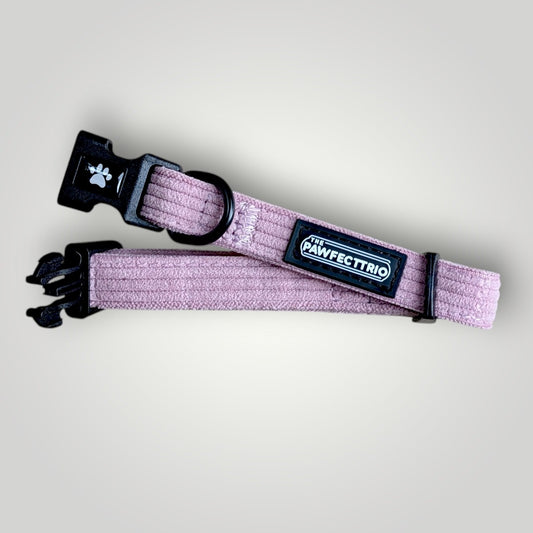 Corduroy dog collar from The Pawfect Trio pet accessories line, featuring a soft, textured fabric in a stylish design.