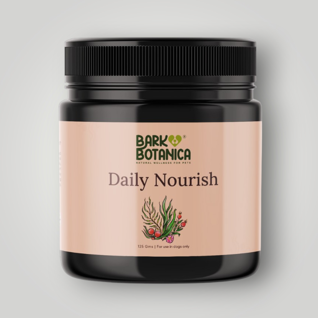 Bark Botanica Daily Nourish pet wellness supplement with natural ingredients, designed to promote overall health for dogs.