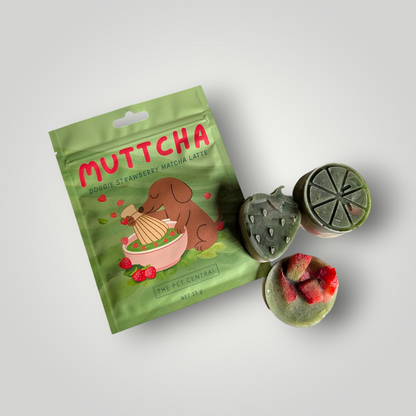 Doggie Strawberry Matcha Latte pet enrichment toy with colorful plush and interactive design for dogs.