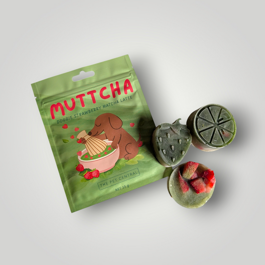 Doggie Strawberry Matcha Latte pet enrichment toy from The Pet Central, featuring a colorful strawberry and matcha-themed design.
