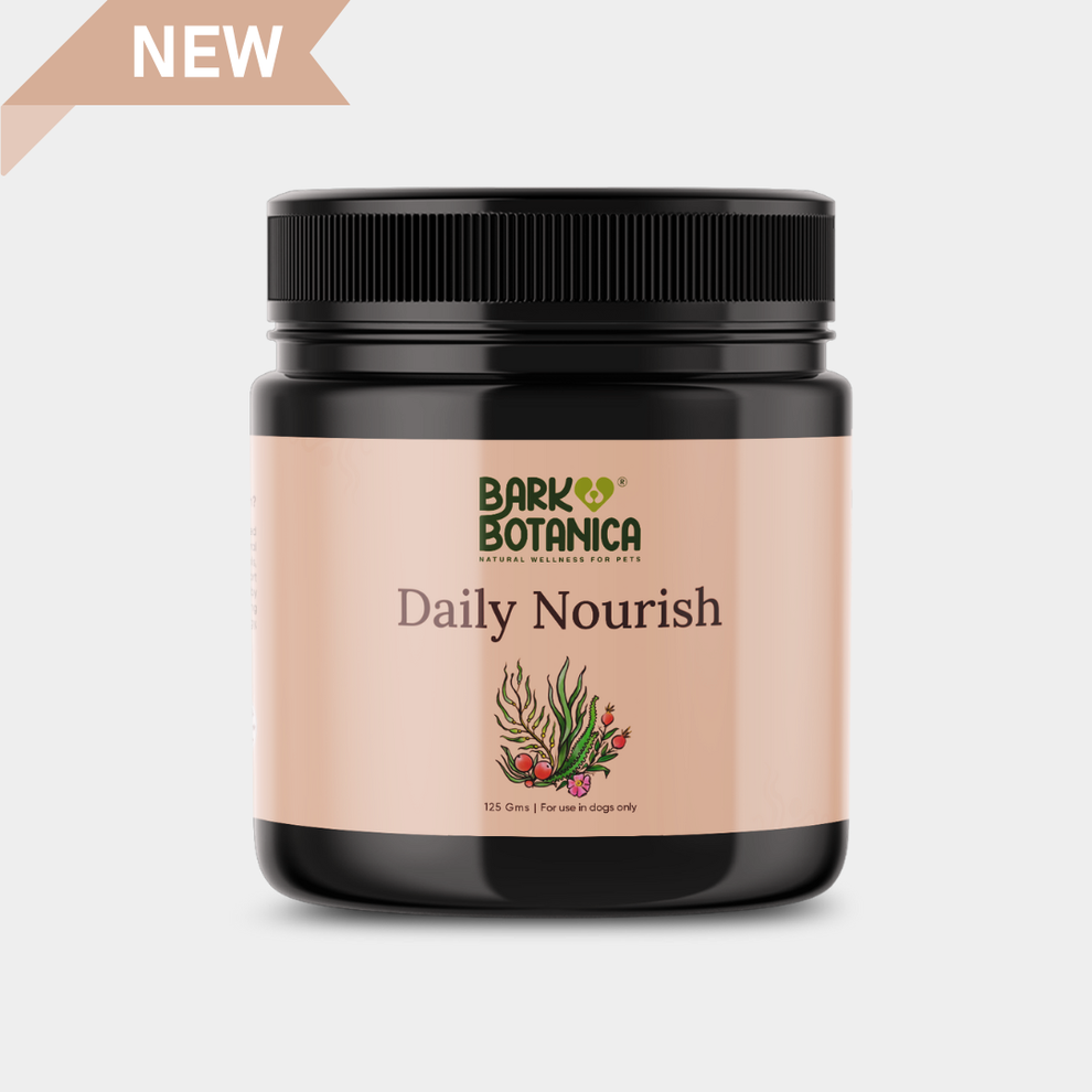 Daily Nourish
