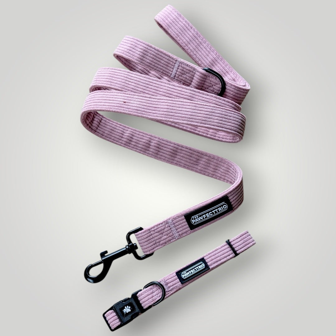 The Walk Duo pet accessories by The Pawfect Trio featuring a stylish leash and collar set for dogs.