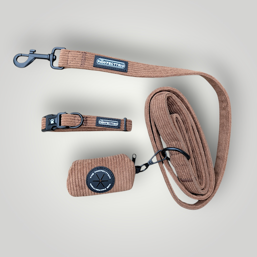 Pet accessories from The Pawfect Trio's Pawfect Bundle, featuring colorful leashes, collars, and toys for dogs and cats.