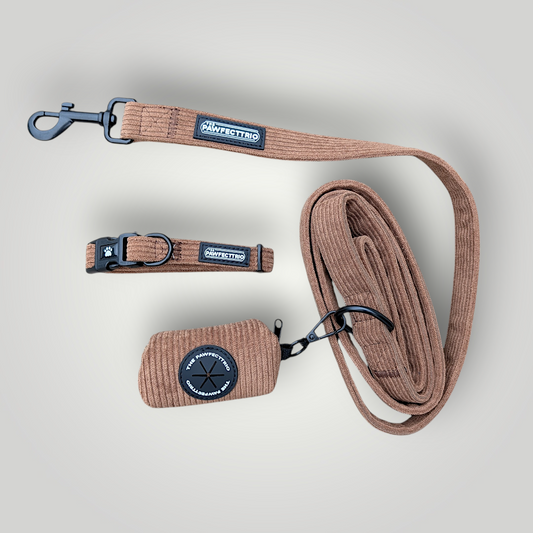 Pet accessories from The Pawfect Trio's Pawfect Bundle, featuring colorful leashes, collars, and toys for dogs and cats.