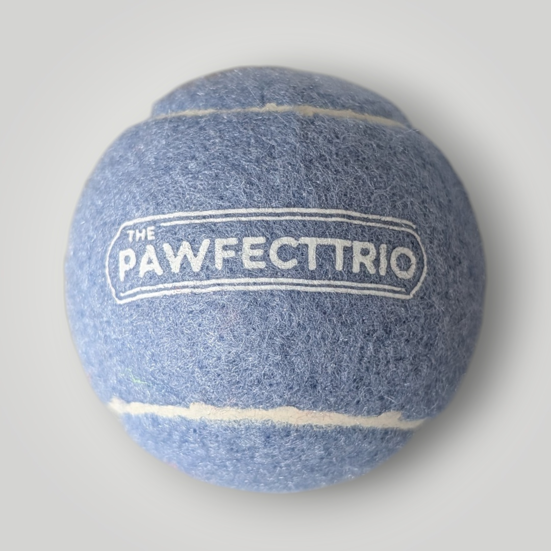Squeaky tennis ball pet toy by The Pawfect Trio, durable rubber ball with a squeaker inside, perfect for dogs to chew and fetch