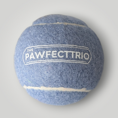 Squeaky tennis ball pet toy by The Pawfect Trio, durable rubber ball with a squeaker inside, perfect for dogs to chew and fetch