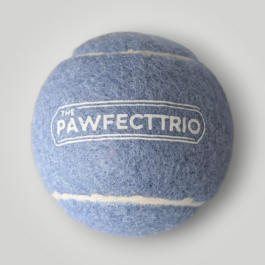 Bright yellow squeaky tennis ball pet toy from The Pawfect Trio, designed for dogs to chew and play fetch.