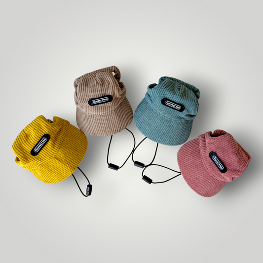Dog hat from The Pawfect Trio pet accessories collection, featuring a cute, colorful design for small dogs.