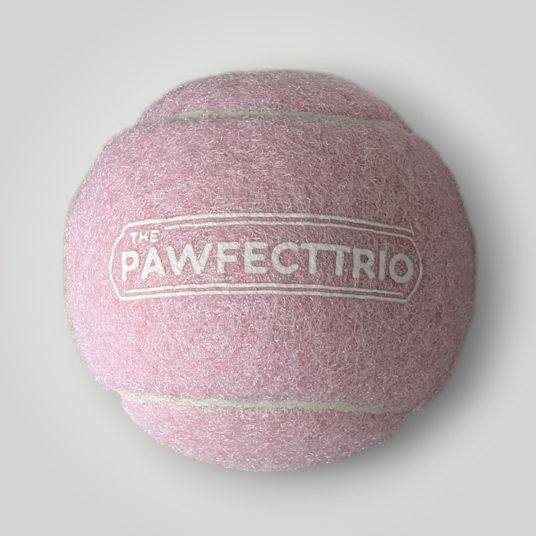 Squeaky tennis ball pet toy by The Pawfect Trio, featuring a bright yellow rubber ball with a squeaker inside for dogs.