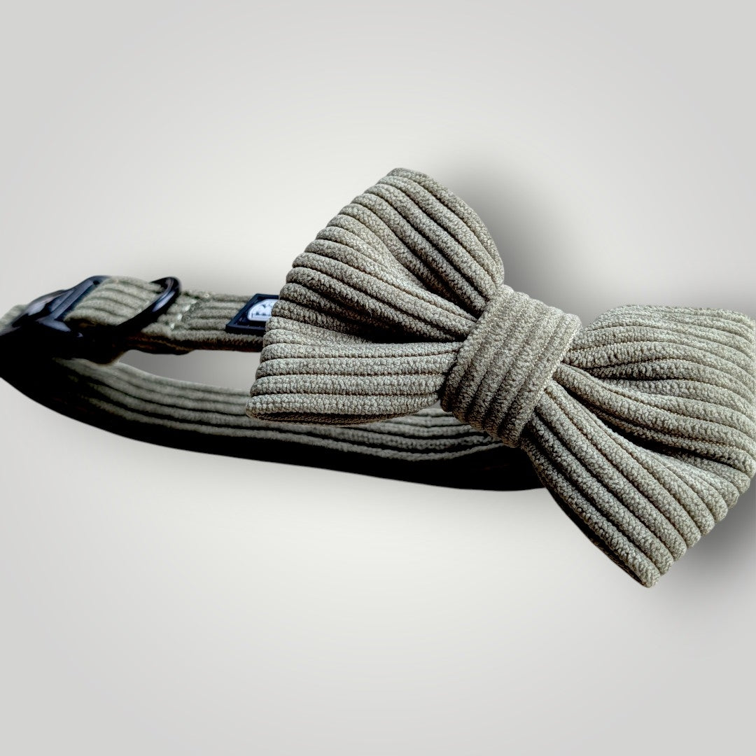 Dog bow tie from The Pawfect Trio pet accessories, featuring a stylish fabric design on a cute small dog.