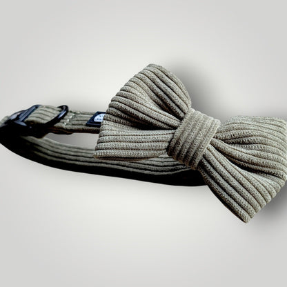 Dog bow tie from The Pawfect Trio pet accessories, featuring a stylish fabric design on a cute small dog.